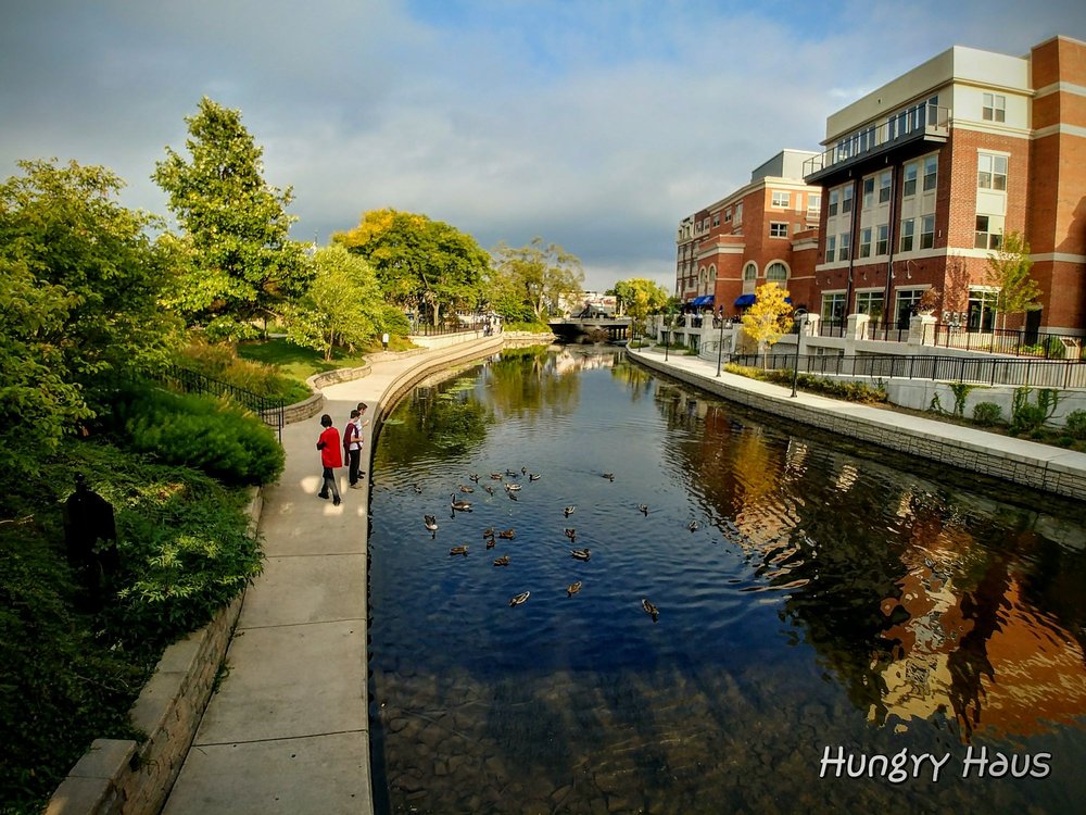 PICTURE OF A PATH WITH WATER